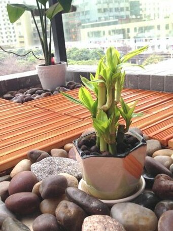 Nanyang House - Photo5