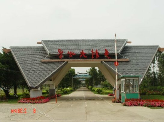 Xiangcun Dashijie Hostel - Photo2
