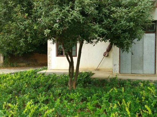 Qiyu Hostel - Photo2