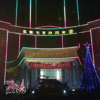 Nanyang Oriental Hyat Hotel - Photo2