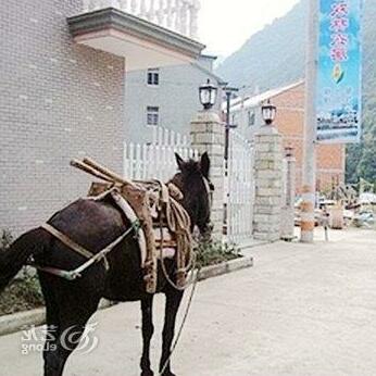 Shuanglin Bozai Farmer House No 5 Villa - Photo2