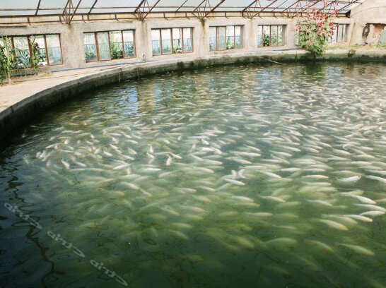 Bihai Sunshine International Resort - Photo5