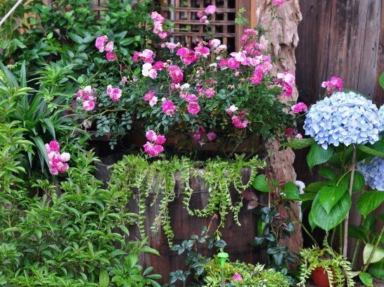 Xijiang Yimu Cottage Yard - Photo4