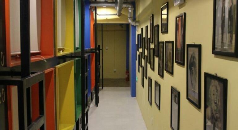 Backpacker International Youth Hostel - Photo4