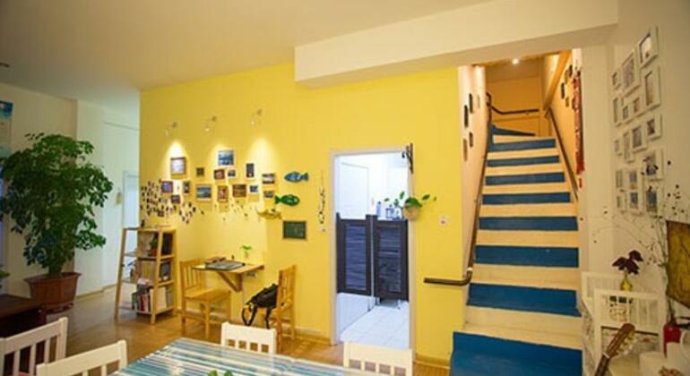 Sunflower Youth Hostel - Photo4