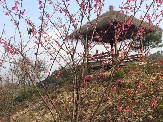 Fogang Hemingzhou Sakura Hot Spring Resort - Photo3