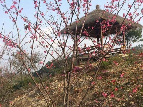 Fogang Hemingzhou Sakura Hot Spring Resort - Photo3