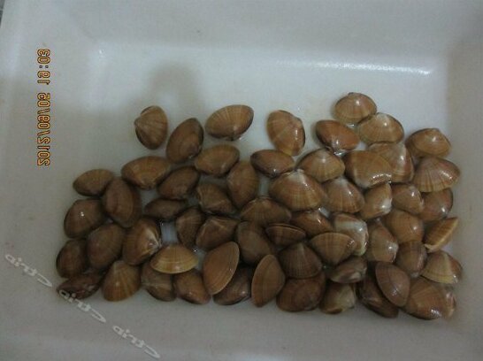 Feifei Guesthouse - Photo4