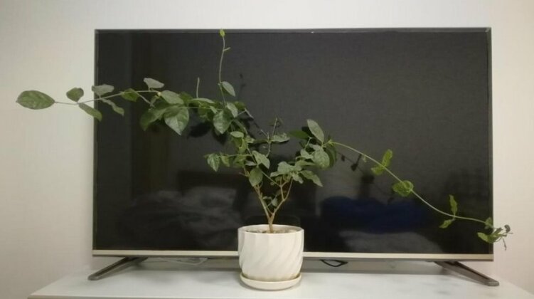 Rizhao Jiafei Apartment - Photo3