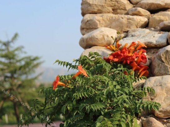 Rizhao Victoria Manor - Photo4