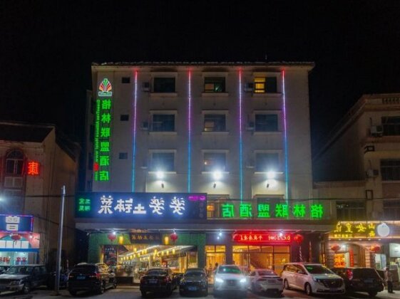 GreenTree Alliance Sanya Jiyang District Yalongwan Road Hotel - Photo4