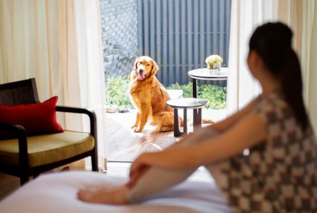 Hyatt Regency Chongming - Photo4