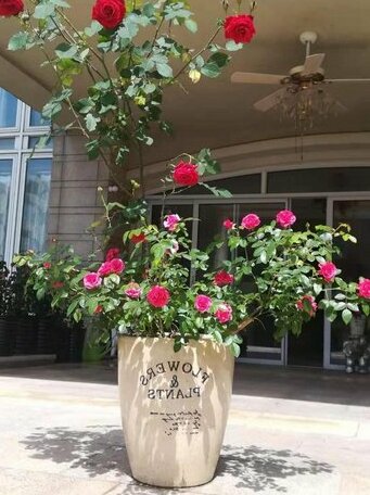 Junshan Villa - Photo2