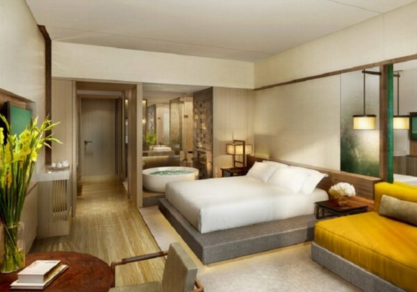 The Anandi Hotel and SPA - Photo2