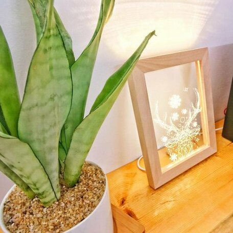 Xiaowu's Home-Study Room - Photo4