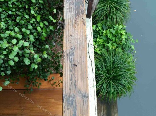 Youmin Coffee Guesthouse Hotel - Photo5