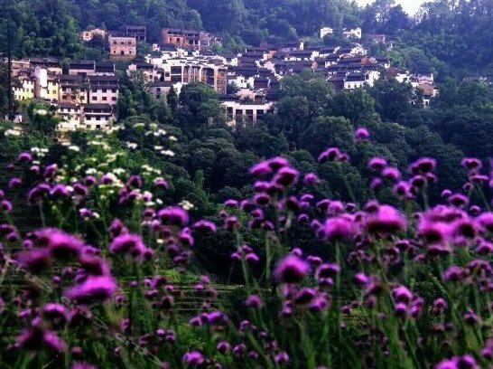 Huangling Shaiqiu Meisu Hotel - Photo4