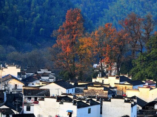 Jiangling flower village - Photo5