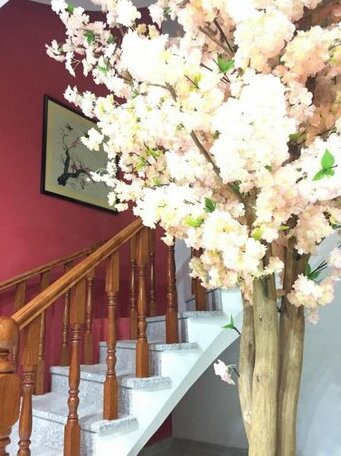 Qinghua Dragon Homestay - Photo2
