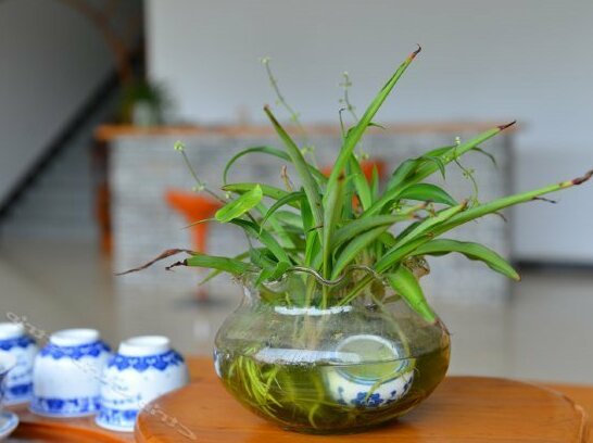 Qingli Bieyuan - Photo3