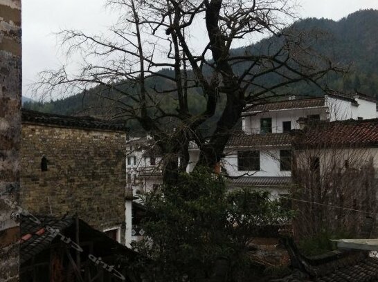 Qingyuan Yinxing Farm Stay - Photo5