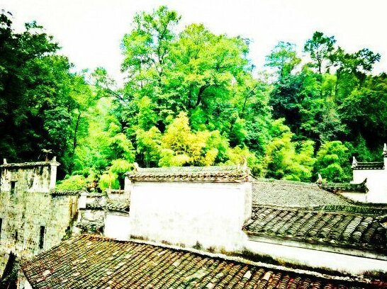 Shuxin Inn Wuyuan Shangrao - Photo3