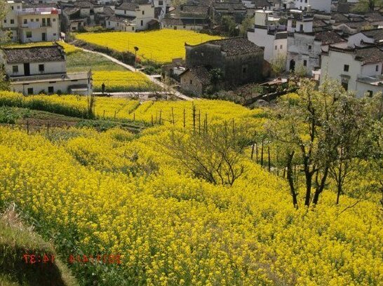 Wu Yuan Qing Yuan Yong Si Tang Farm Stay - Photo5