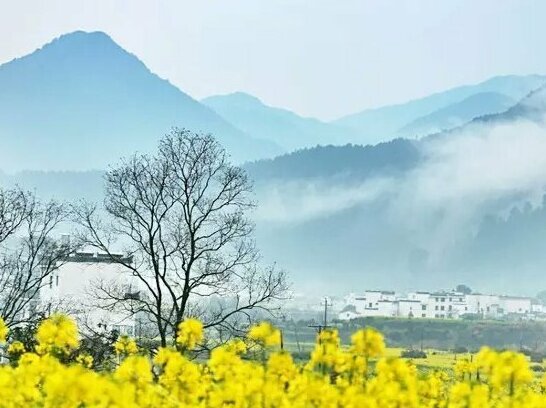 Wuyuan Jiang Ling Guest House - Photo4