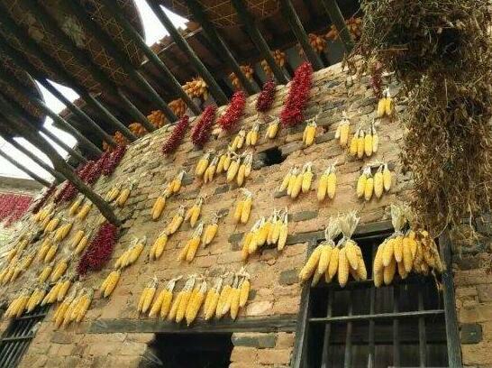 Wuyuan Zhonghan Inn - Photo2