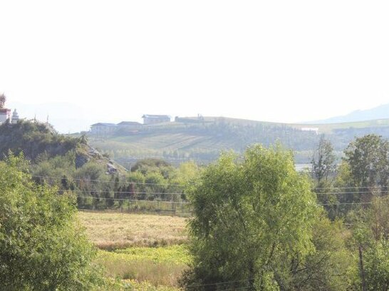 Disirenjia - Photo3