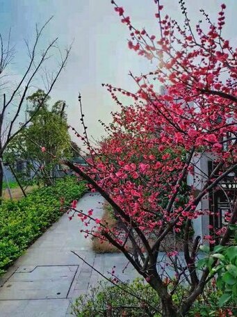 Meilan Villa - Lan - Photo3