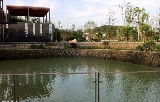 Qingshan Hotel - Photo5