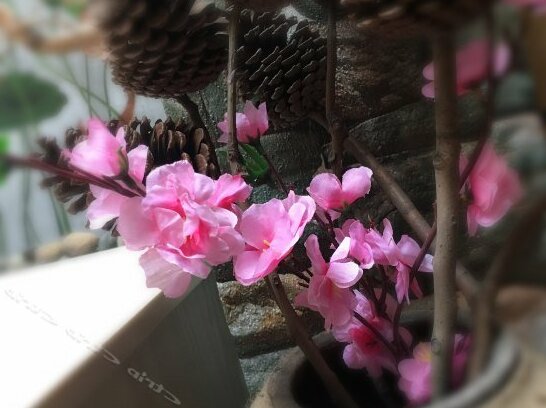 Tongli Stay Long Botique Inn - Photo3