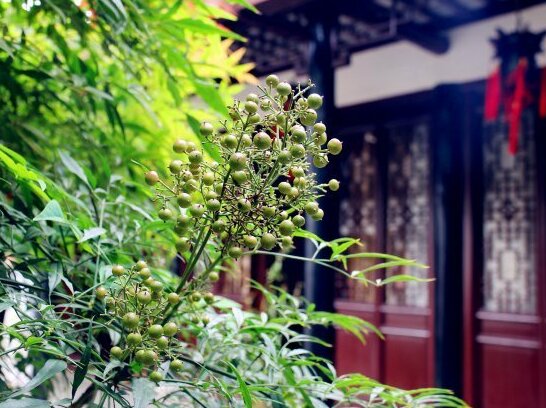 Tongli Three Bridge Villa - Photo4