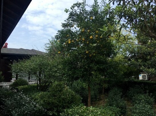 Xiaoxiawan Farmhouse - Photo4