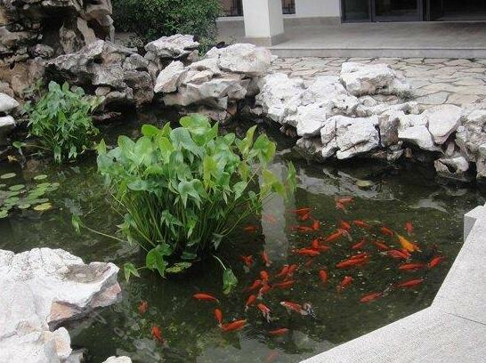 Yang Cheng Lake Hotel - Photo4