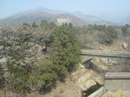 Tianchuang Hotel - Photo5