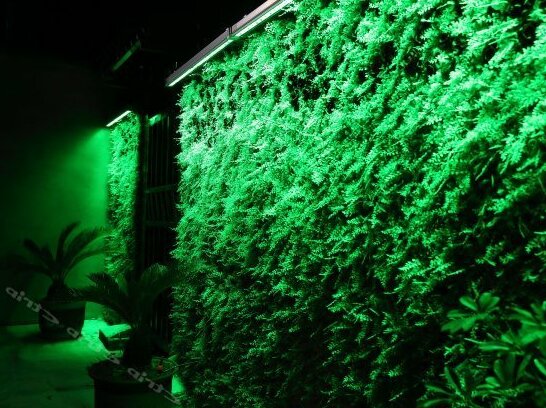 Towo Holiday Hotel Taishan Hongmen - Photo4