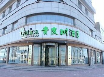 Vatica Jinghai Bus Station Home World Shopping Plaza