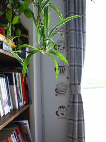 Weihai Blove Islets Youth Hostel - Photo2