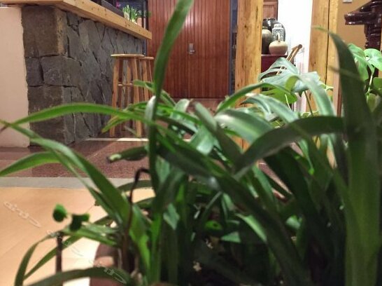 Hongxi Nuoya Hostel - Photo4