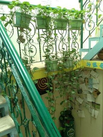 Xiamen Old Time Hostel - Photo3
