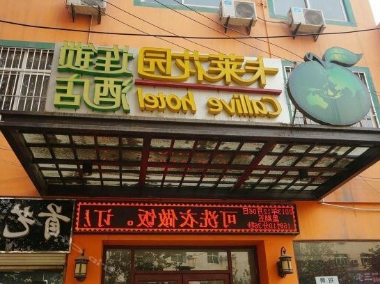 Callive Hotel - Photo2