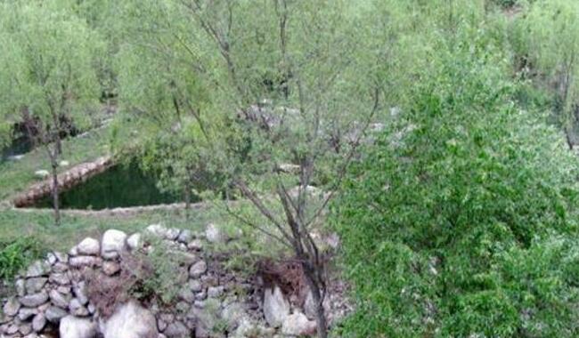 Xi'an Zhang Peng Farmstay - Photo5