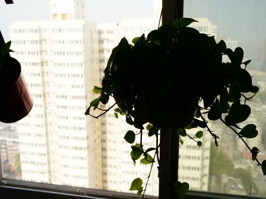 YoYo Young Hostel - Photo2