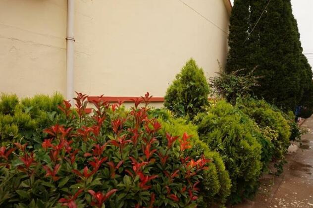 Photo 4
