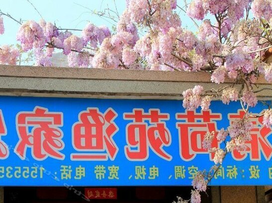 Qingheyuan Hostel - Photo4