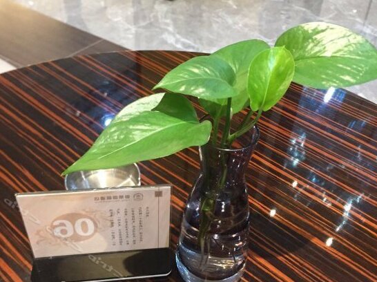 Zhangye Yu Jing International Hotel - Photo3