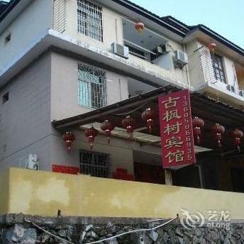 Gufengshu Hotel - Zhangzhou