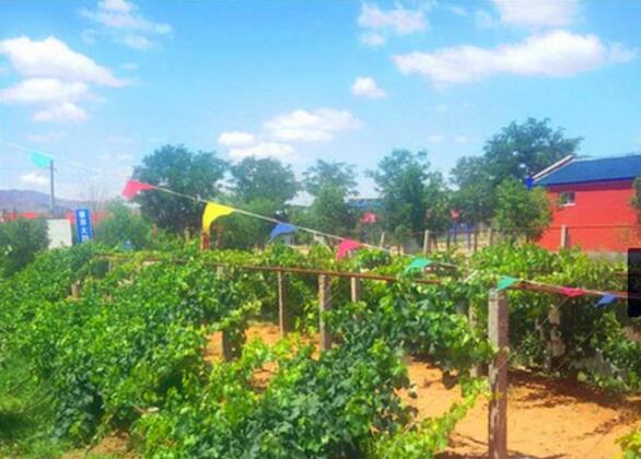 Shapotou Damo Qingyuan Farmstay - Photo5